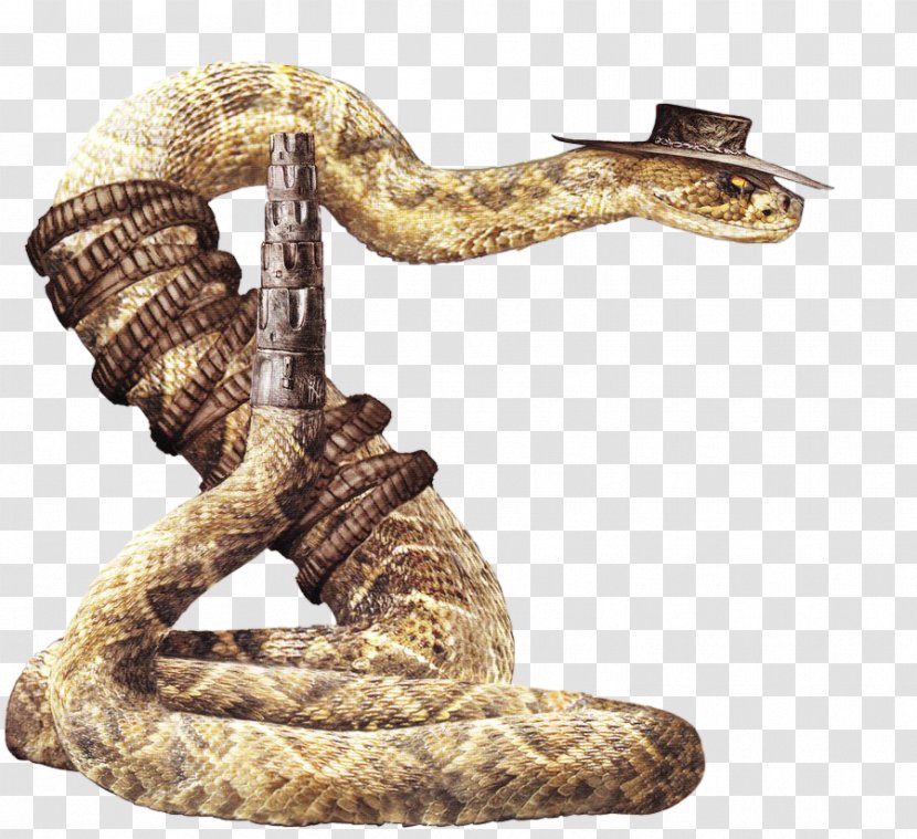 Rattlesnake Jake Western Diamondback Character - Anaconda Transparent PNG