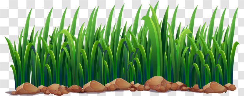 Pond Ecosystem Illustration - Plant - Green Grass Transparent PNG