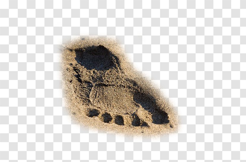 Yalong Bay Beach Sand - Footwear - Men's Footprints Transparent PNG