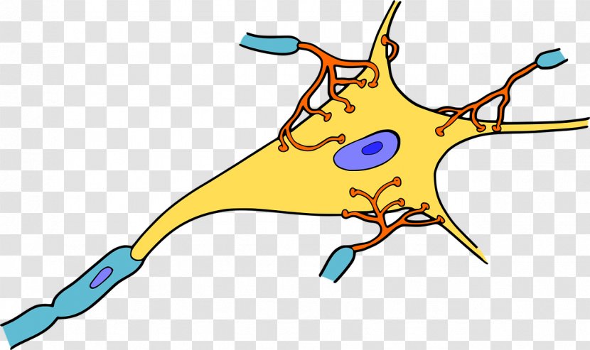 Neuron Biology Synapse Dendrite Clip Art - Silhouette - Brain Transparent PNG