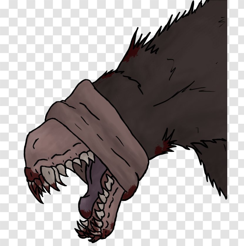 Gray Wolf Snarl Drawing Black Growling - Wing Transparent PNG