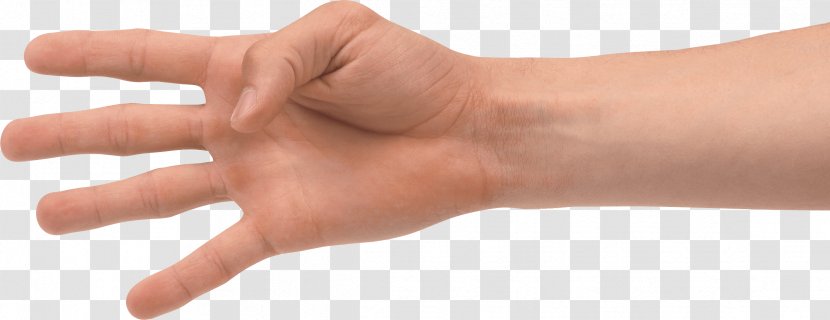 Thumb Hand Model Nail - Arm - Hands Image Transparent PNG