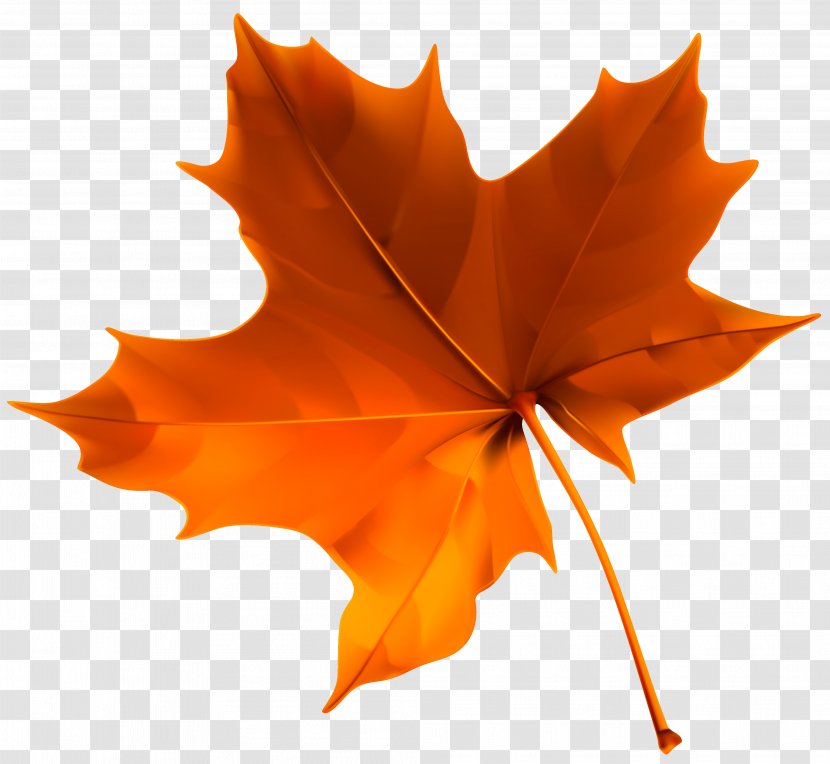 Leaf Autumn Clip Art - Petal - Leaves Transparent PNG