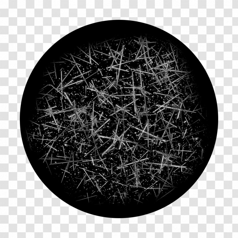 Black Tree - Glass - Drawing Plate Transparent PNG