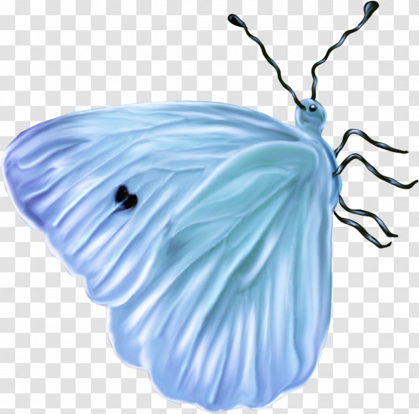 Insect Butterfly Blue Bee - Organism Transparent PNG