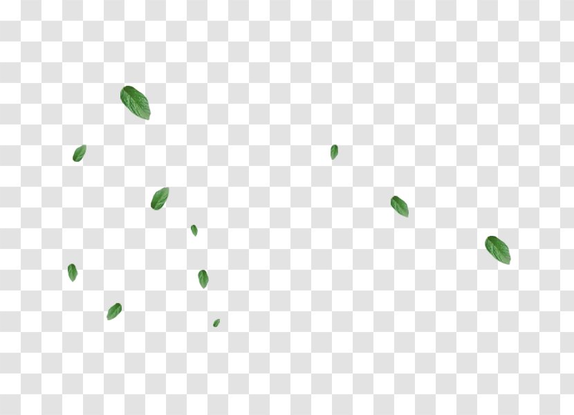 Desktop Wallpaper Web Page Computer Image - Grass - Green Foliage Transparent PNG