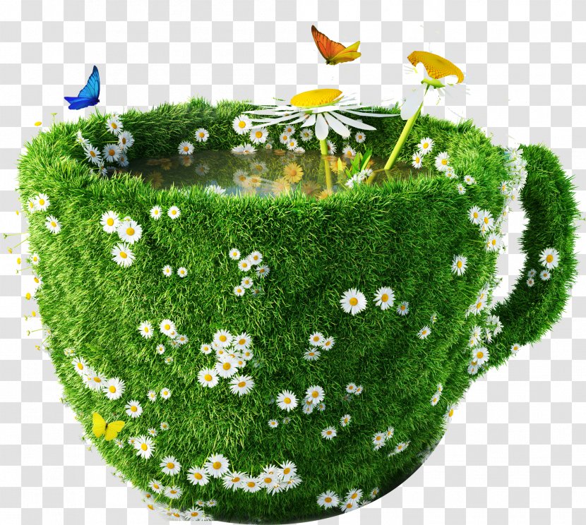 Hong Kong-style Milk Tea Green Chamomile Coffee Cup - Glass Plant Transparent PNG