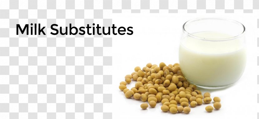Soy Milk Soybean Substitute Doenjang - Food Transparent PNG