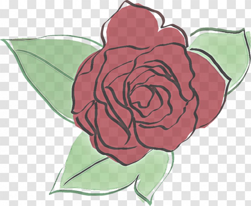 Garden Roses - Red - Plant Rose Family Transparent PNG