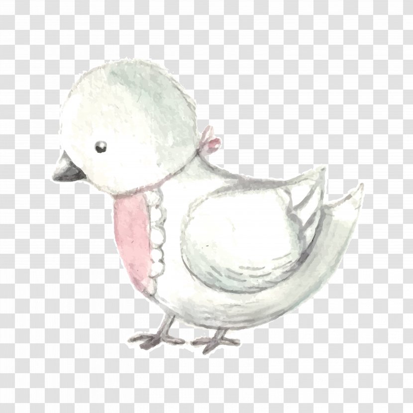 Duck Bird Euclidean Vector - Cute White Transparent PNG