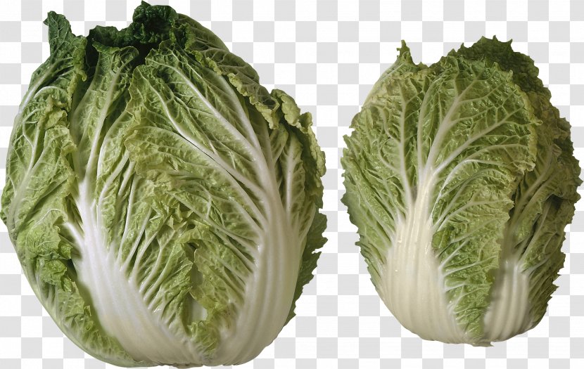 Iceberg Lettuce Salad Vegetable Tomato - Cabbage - Image Transparent PNG