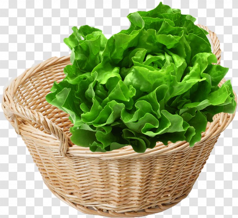 Romaine Lettuce Leaf Vegetable Organic Food Spring Greens - Onion Transparent PNG