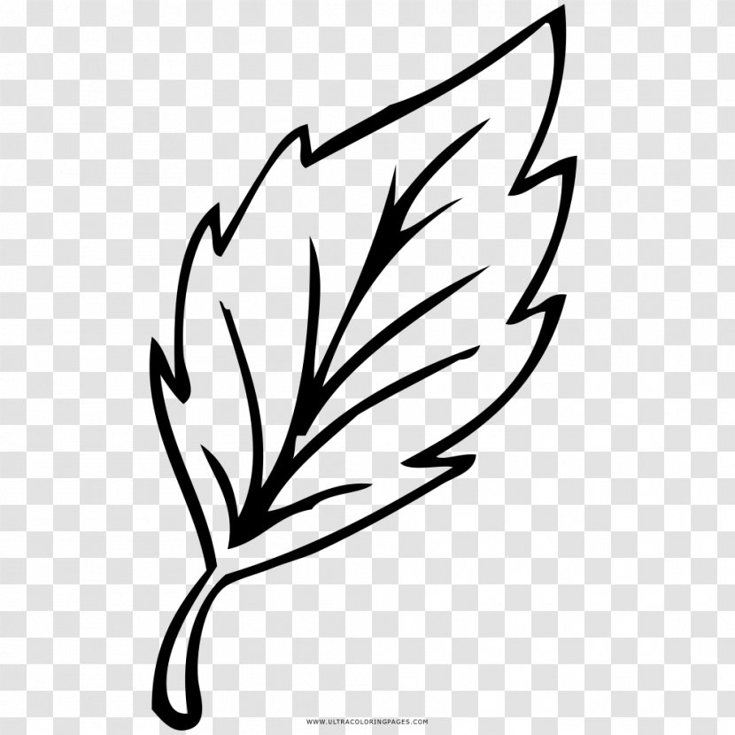 Drawing Coloring Book Black And White Leaf Line Art Transparent PNG