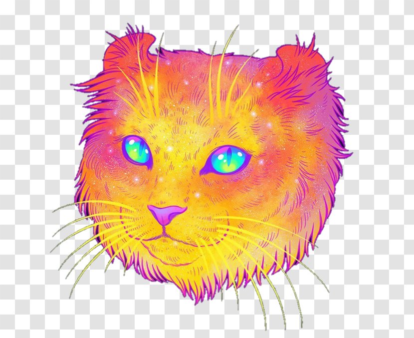 Cat Kitten Illustrator Art - Mid Osmanthus Transparent PNG