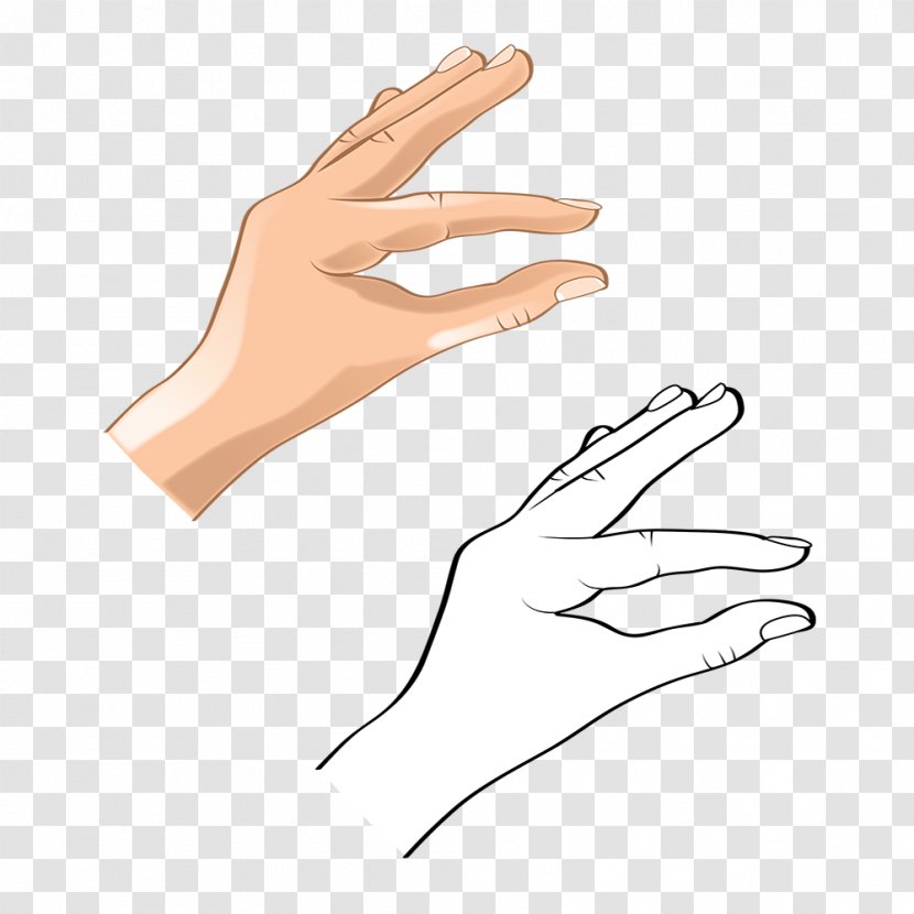 Hand Model Finger Thumb Arm - Gesture Transparent PNG