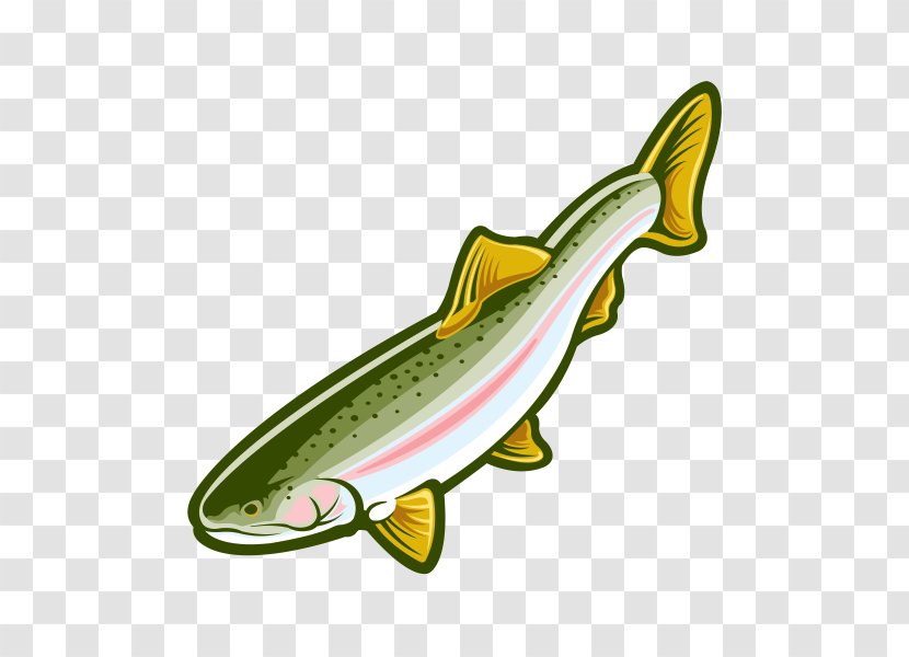 Salmon Rainbow Trout Fish - Fauna Transparent PNG