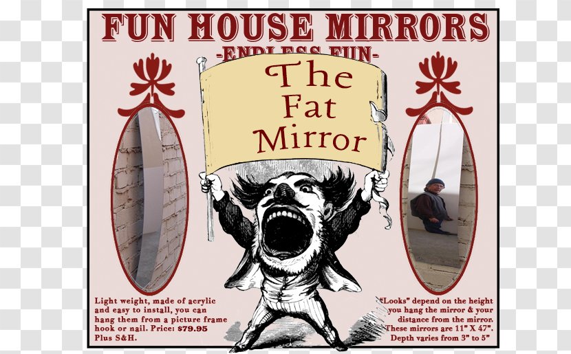 Distorting Mirror House Of Mirrors Image Konvexspiegel - Cartoon Transparent PNG