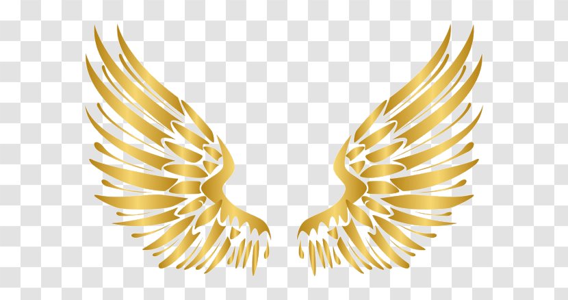 Gold - Picsart Photo Studio - Angel Wings Icon Transparent PNG