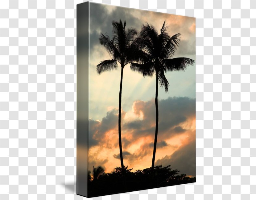 Asian Palmyra Palm Heartbroken Promises Stock Photography Sky Plc - Hawaiian Sunset Transparent PNG