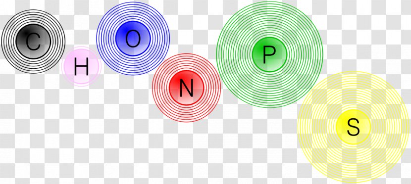 CHON Cell Chemistry Biology Nitrogen - Hydrogen - Chon Transparent PNG