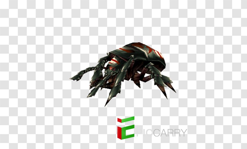 Warcraft III: Reign Of Chaos Carrion Beetles World Warcraft: Battle For Azeroth Wowpedia - Undead - Bicycle Transparent PNG