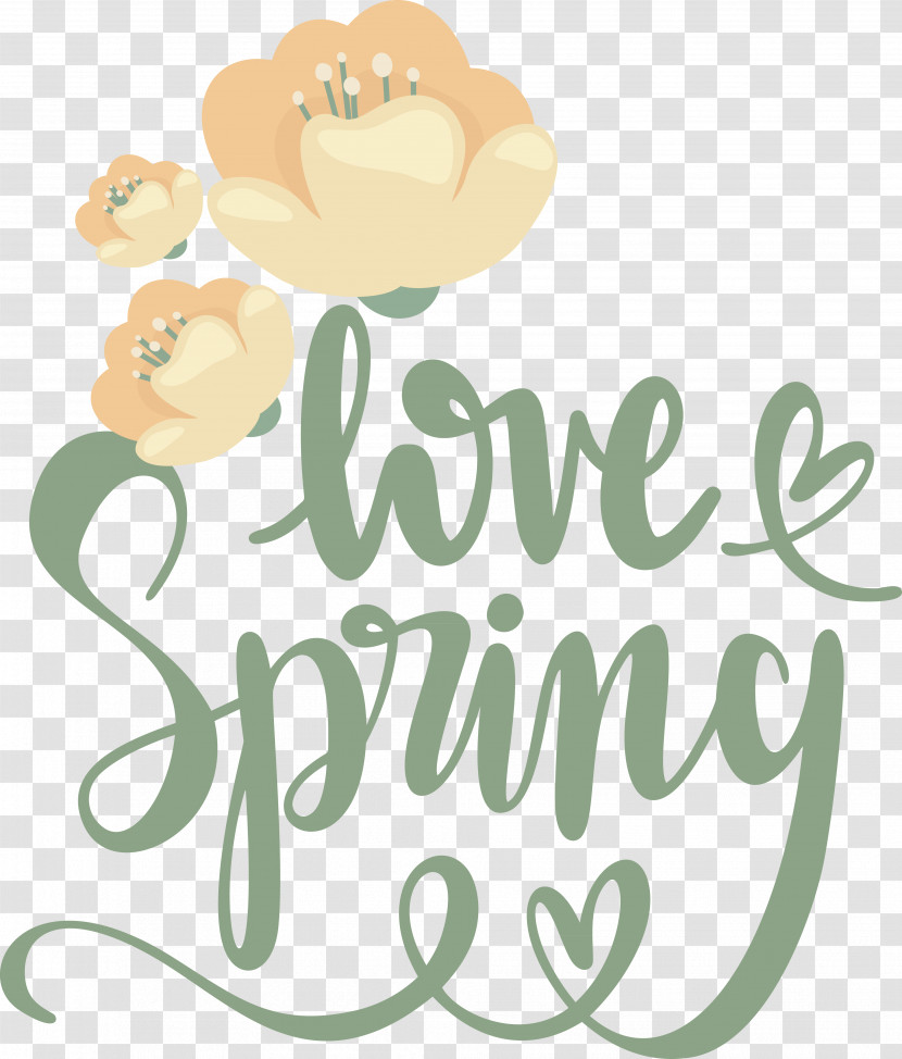 Floral Design Transparent PNG