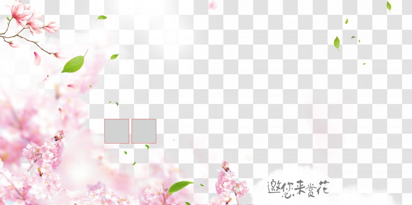 Pink Petal Flower - Poster - Peach Blossom Background Transparent PNG