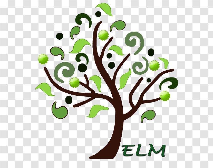 Branch Elm Drawing Clip Art - Leaf - Tree Transparent PNG