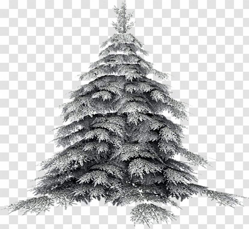 Artificial Christmas Tree - Ornament - Snow Transparent PNG