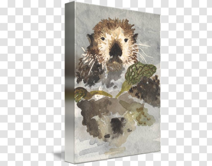 Sea Otter Hedgehog Beaver Gallery Wrap Transparent PNG