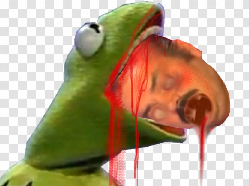 Kermit The Frog Sticker Envelope - Macaw Transparent PNG