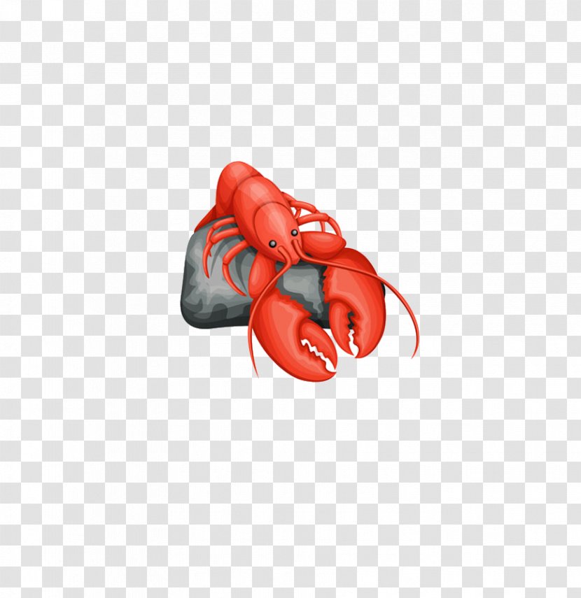 Aquatic Animal Idea Clip Art - Red - Lying On A Rock Lobster Transparent PNG