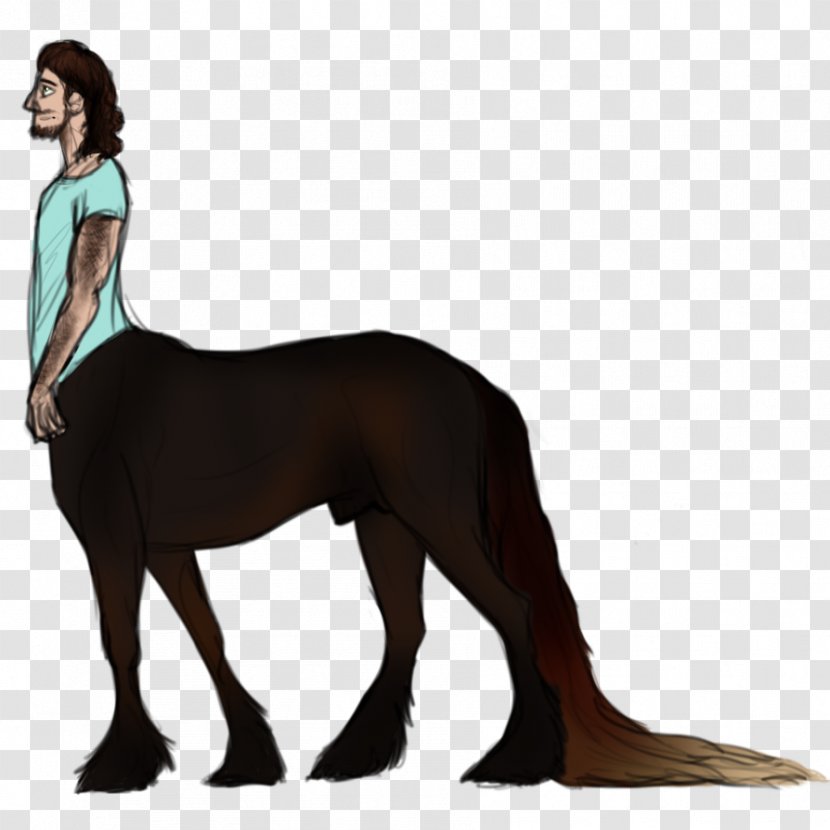 Dog Mustang Digital Art Friesian Horse - Drawing Transparent PNG