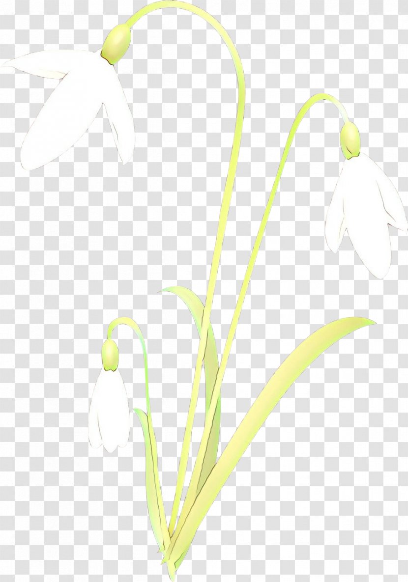Plant Flower Flowering Nepenthes Stem - Cartoon Transparent PNG