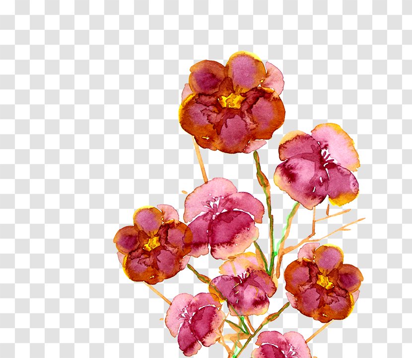 Paper Watercolor Painting - Moth Orchid - Flower Transparent PNG