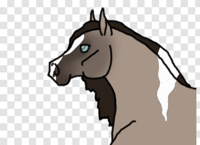 Mane Stallion Mustang Bridle Colt - Horse Tack Transparent PNG