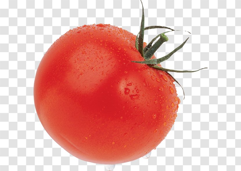 Cherry Tomato Pa Amb Tomàquet Vegetable Food - Plum Transparent PNG