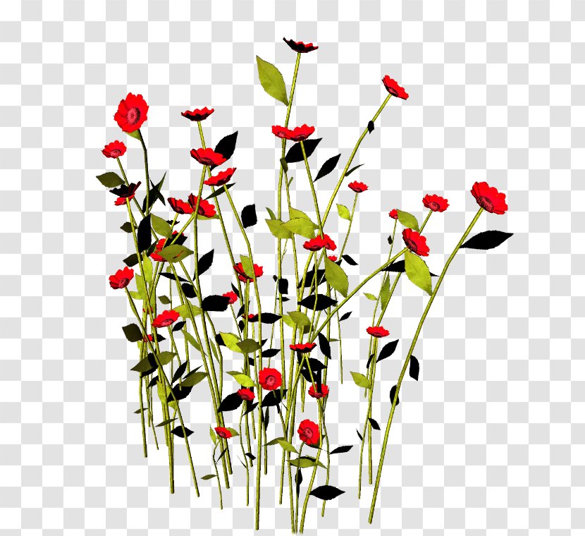 PhotoScape GIMP Clip Art - Photoscape - Flowering Plant Transparent PNG