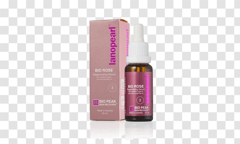 Skin Care Rose Wrinkle Serum Transparent PNG