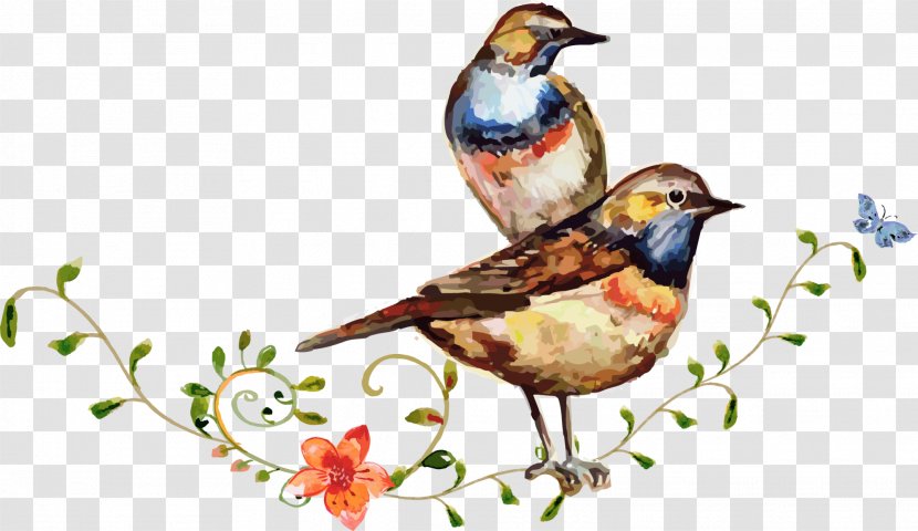 Bird Watercolor: Flowers Watercolour - Beak - Coffee Colored Watercolor Flower And Transparent PNG
