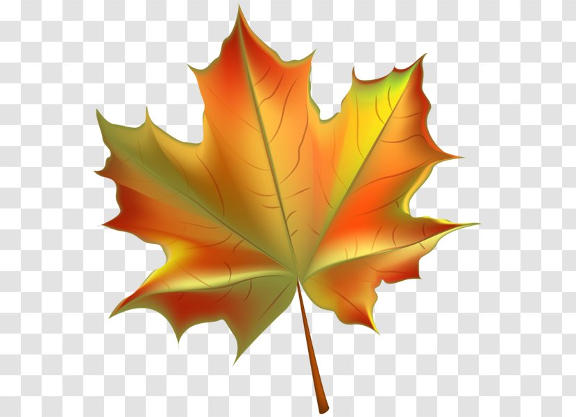 Autumn Leaf Color Clip Art - Symmetry - Beautiful Cliparts Transparent PNG