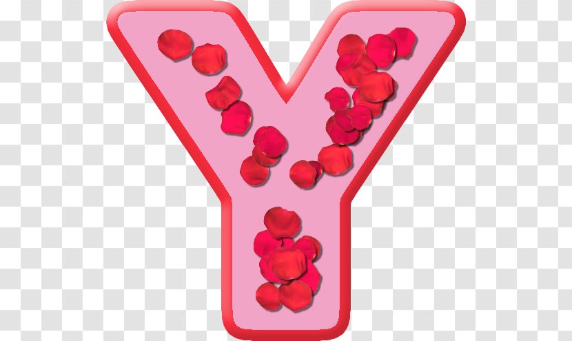 Letter Y English Alphabet Petal Transparent PNG