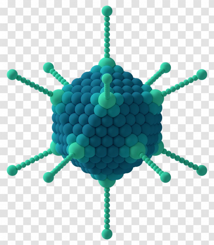Virus Capsid Icosahedron Adenoviridae Capsomere - Turquoise - Flu Transparent PNG