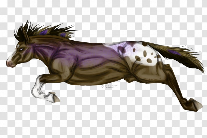 Mane Mustang Pony Stallion Foal - Legendary Creature Transparent PNG