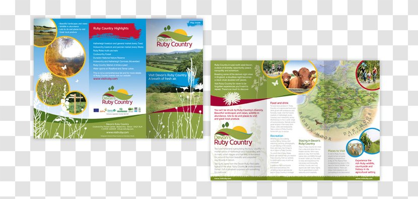 Brochure Brand - Advertising - Folding Leaflets Transparent PNG