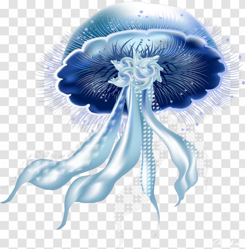 Jellyfish Clip Art Image Download - Cartoon - Moon Transparent PNG