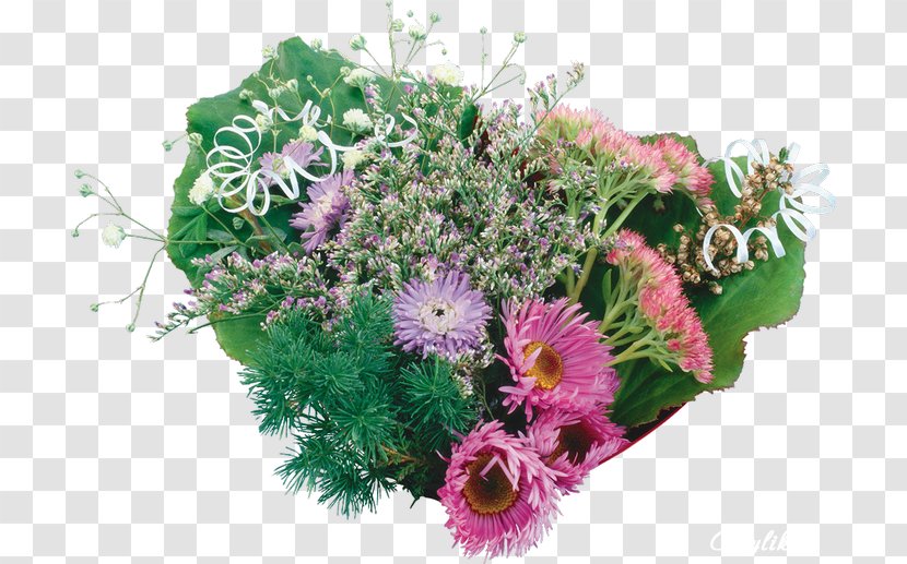 Chrysanthemum Flower Photography Clip Art - Bouquet Transparent PNG