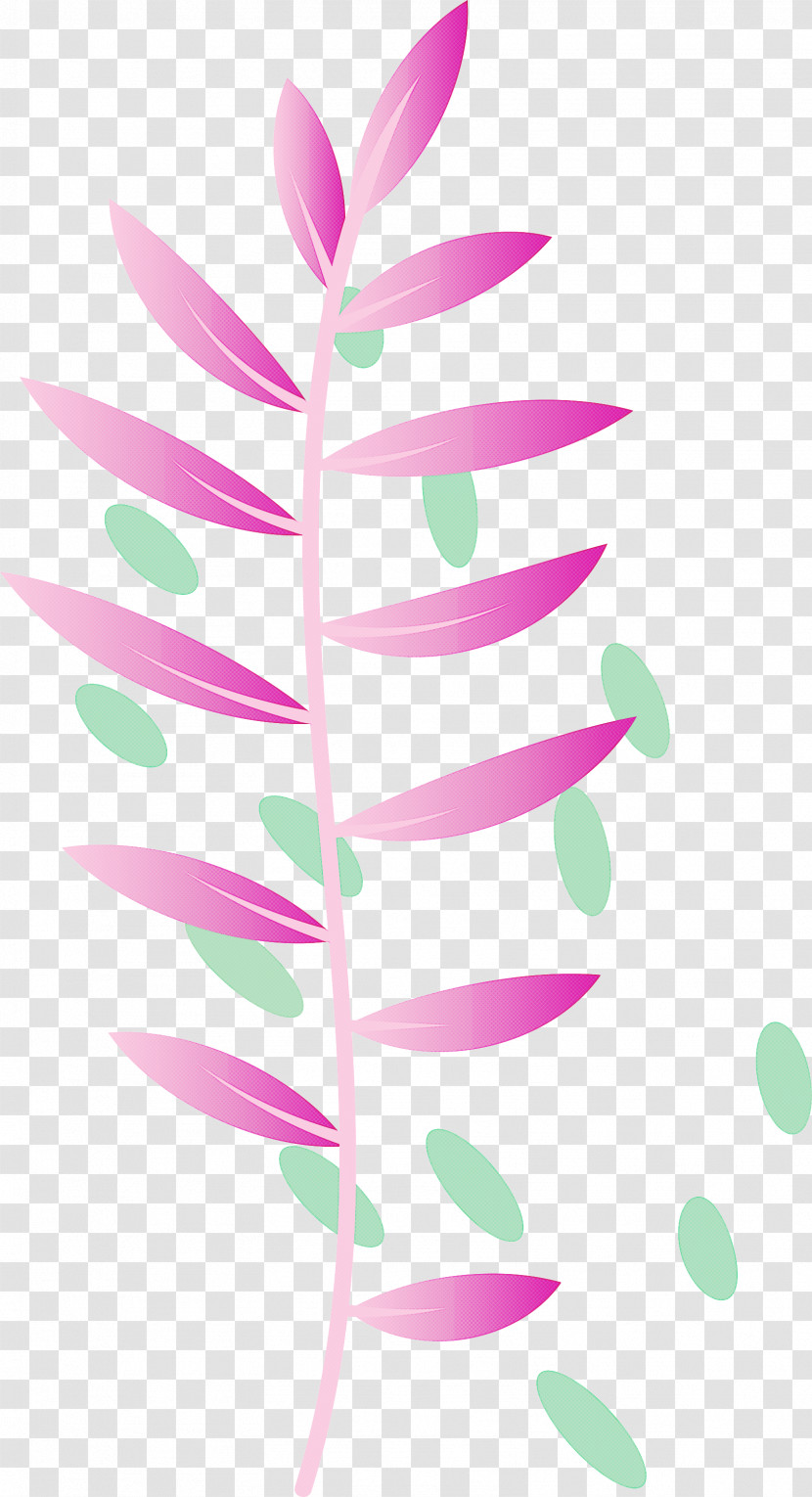 Floral Design Transparent PNG