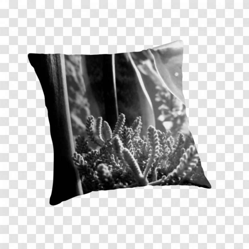 Monochrome Photography Throw Pillows Black And White Cushion - Suculent Transparent PNG