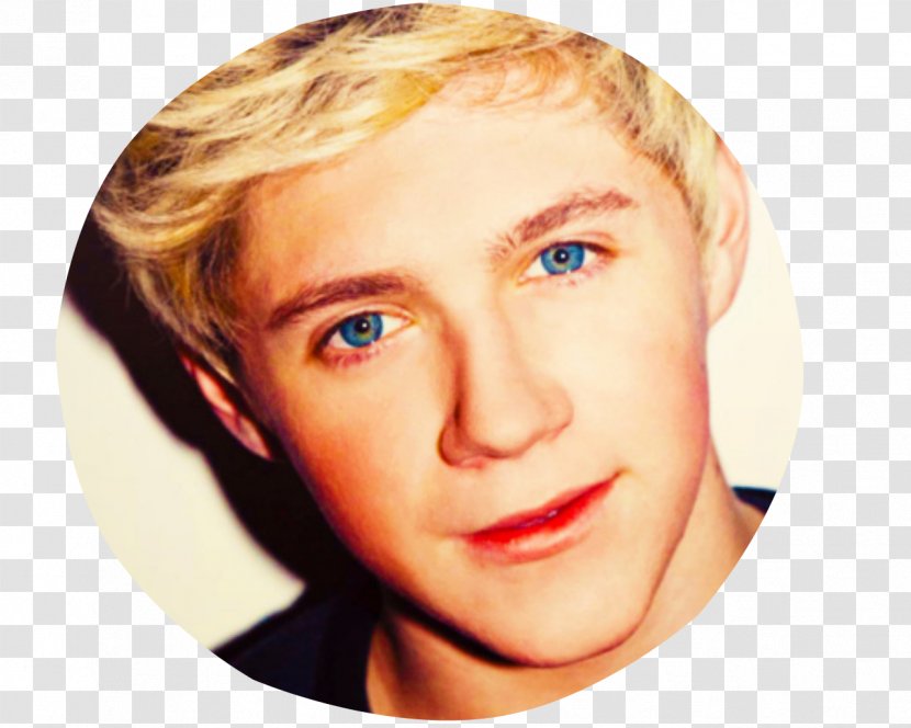 Niall Horan Mullingar One Direction Boy Band - Watercolor Transparent PNG